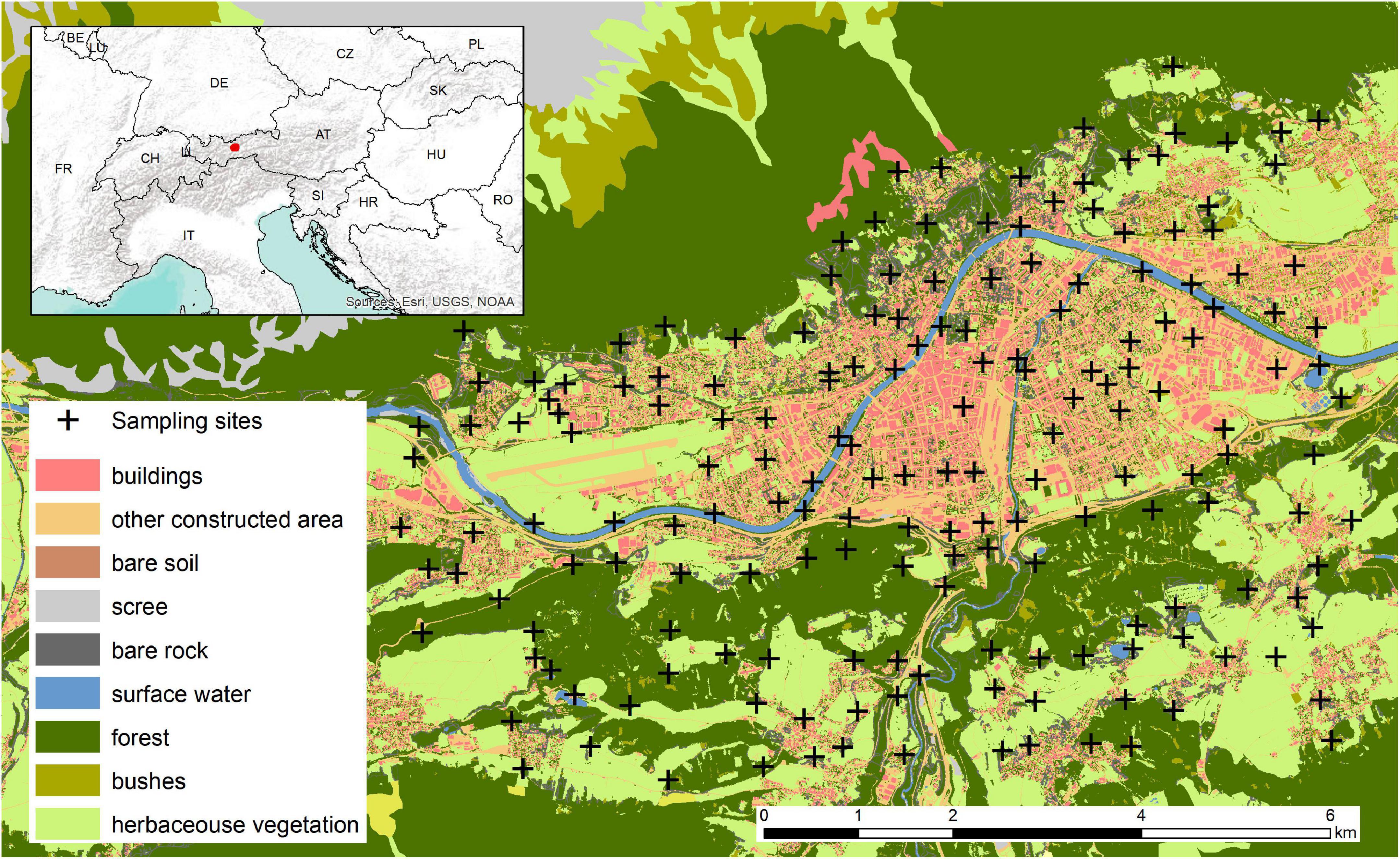 Urban-driven decrease in arthropod richness and diversity associated with group-specific changes in arthropod abundance